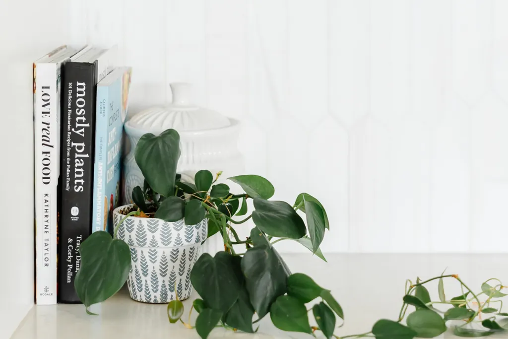 A tidy styled shelf with a few books, a white canister, and a trailing green plant